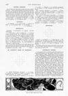 Thumbnail 0082 of St. Nicholas. January 1891