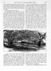 Thumbnail 0011 of St. Nicholas. April 1891