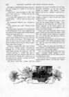 Thumbnail 0074 of St. Nicholas. April 1891