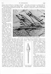 Thumbnail 0062 of St. Nicholas. May 1891