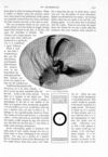 Thumbnail 0064 of St. Nicholas. May 1891