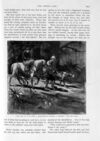 Thumbnail 0043 of St. Nicholas. June 1893