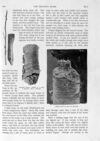 Thumbnail 0053 of St. Nicholas. June 1893