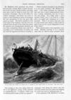 Thumbnail 0059 of St. Nicholas. June 1893