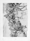 Thumbnail 0014 of St. Nicholas. January 1896