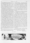 Thumbnail 0021 of St. Nicholas. January 1896