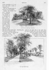 Thumbnail 0030 of St. Nicholas. July 1893