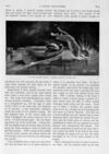 Thumbnail 0007 of St. Nicholas. September 1893