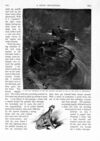 Thumbnail 0009 of St. Nicholas. September 1893
