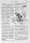 Thumbnail 0049 of St. Nicholas. September 1893