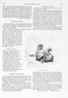 Thumbnail 0081 of St. Nicholas. November 1895