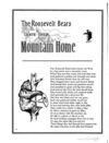 Thumbnail 0018 of The Roosevelt bears