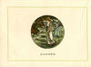 Thumbnail 0020 of Almanack for 1887