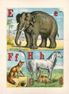 Thumbnail 0005 of The alphabet of animals