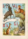 Thumbnail 0007 of The alphabet of animals