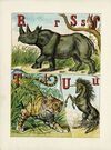 Thumbnail 0012 of The alphabet of animals