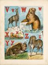 Thumbnail 0014 of The alphabet of animals
