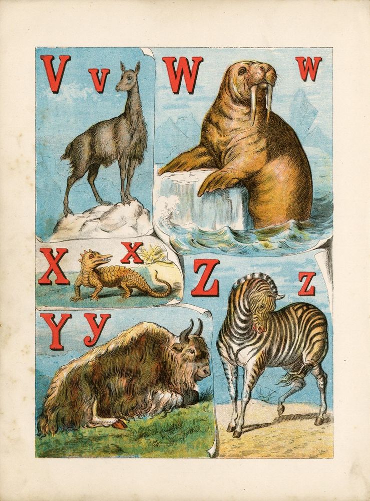 Scan 0014 of The alphabet of animals