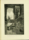 Thumbnail 0229 of The tiger of Mysore