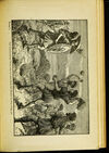 Thumbnail 0329 of The young Carthaginian