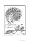 Thumbnail 0086 of The fables of Æsop