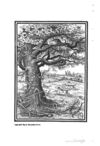 Thumbnail 0122 of The fables of Æsop