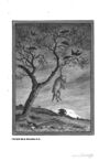 Thumbnail 0127 of The fables of Æsop