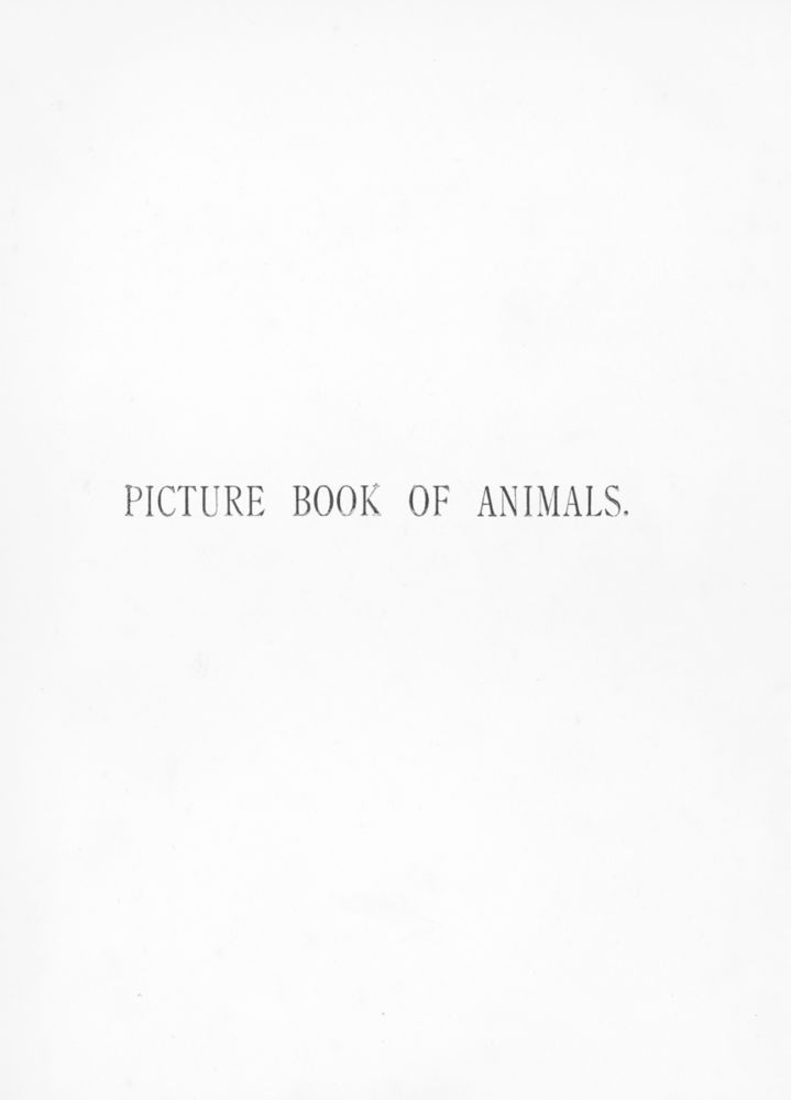 Scan 0003 of Picture book of animals