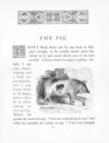 Thumbnail 0008 of Picture book of animals
