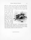 Thumbnail 0016 of Picture book of animals