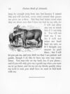 Thumbnail 0019 of Picture book of animals