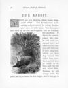 Thumbnail 0023 of Picture book of animals