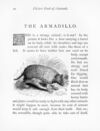 Thumbnail 0029 of Picture book of animals