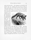 Thumbnail 0034 of Picture book of animals