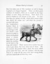 Thumbnail 0058 of Picture book of animals