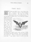 Thumbnail 0062 of Picture book of animals