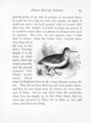 Thumbnail 0070 of Picture book of animals