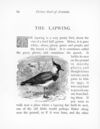 Thumbnail 0089 of Picture book of animals