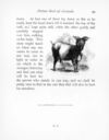 Thumbnail 0106 of Picture book of animals
