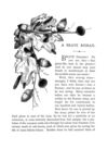 Thumbnail 0079 of Stories of foreign lands