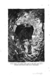 Thumbnail 0184 of The jungle book