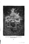 Thumbnail 0189 of The jungle book