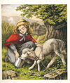 Thumbnail 0009 of The pet lamb picture book