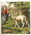 Thumbnail 0011 of The pet lamb picture book
