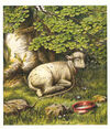 Thumbnail 0015 of The pet lamb picture book
