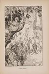 Thumbnail 0269 of The blue fairy book