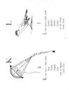 Thumbnail 0082 of Nonsense botany, and nonsense alphabets, etc. etc