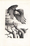 Thumbnail 0060 of Pesme o pticama