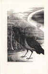 Thumbnail 0092 of Pesme o pticama