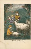 Thumbnail 0006 of Sheep and lamb